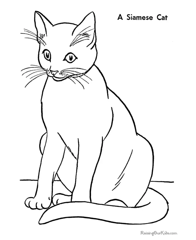 Desenhos de Gatos Fofos Para Colorir 67