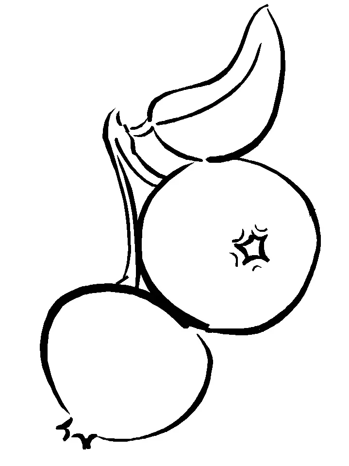 Desenhos de Frutas Fofas Para Colorir 24