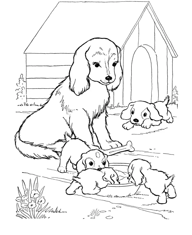 Cachorros Lindos Para Colorear 23