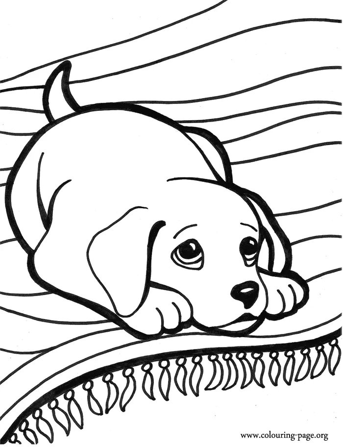 Cute Puppy Coloring Pages 6