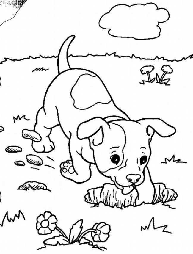 Cute Puppy Coloring Pages 8