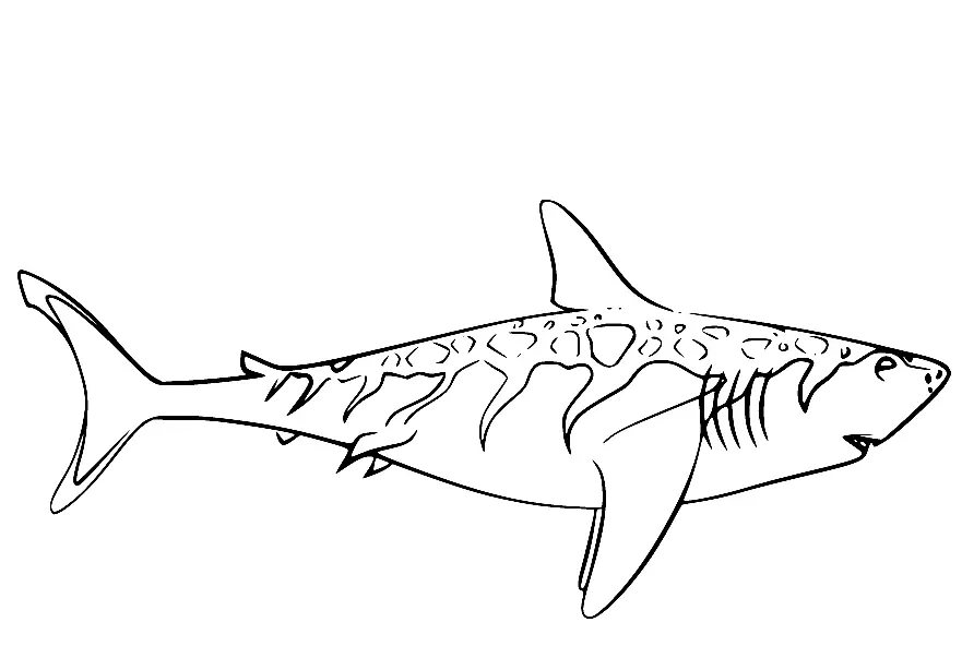 Tren Dinosaurios Para Colorear 25