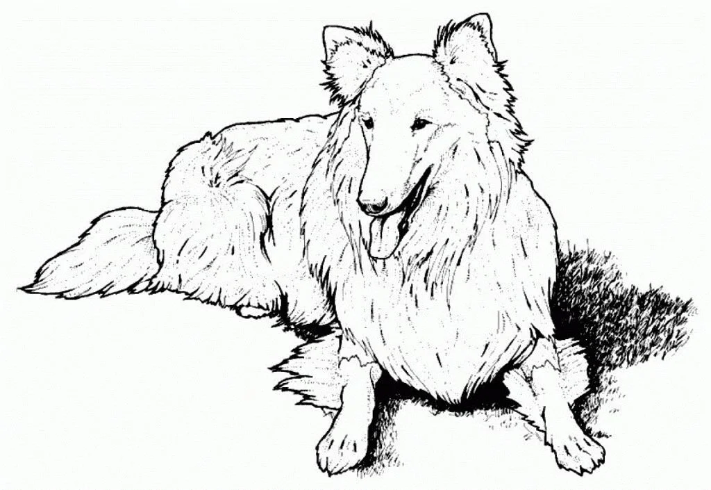 Dog Coloring Pages 96