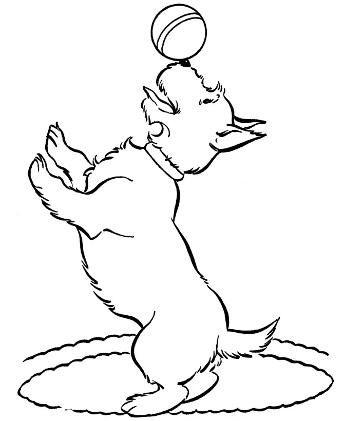 Dog Coloring Pages 99
