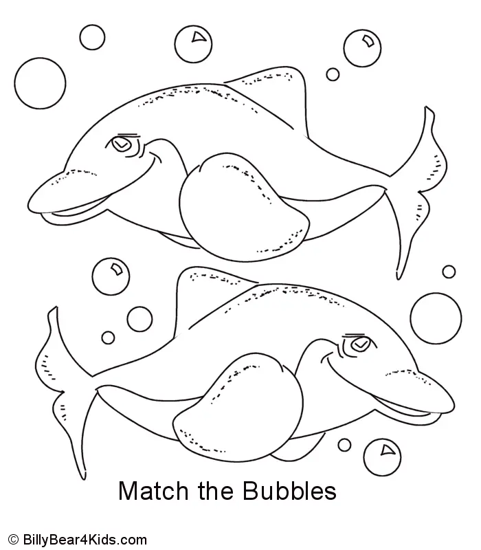 Delphin Ausmalbilder 66