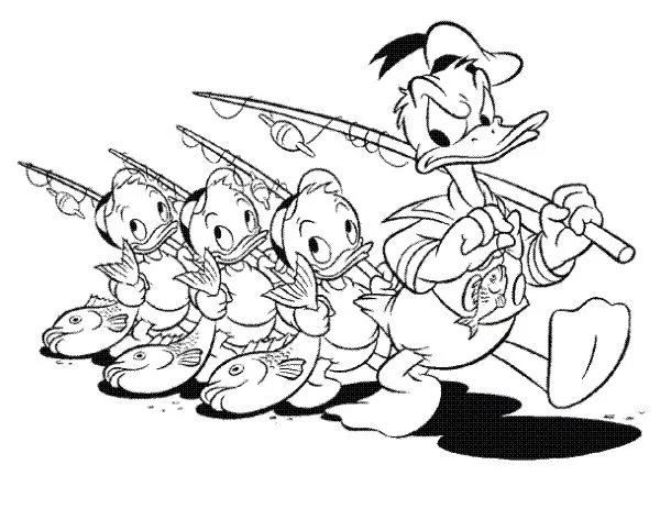 Patos Para Colorear 13