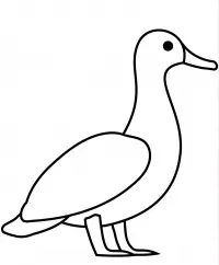 Ducks Coloring Pages 18