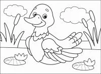 Enten Ausmalbilder 21
