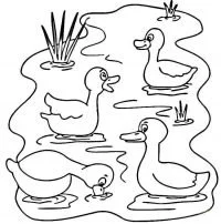 Ducks Coloring Pages 23