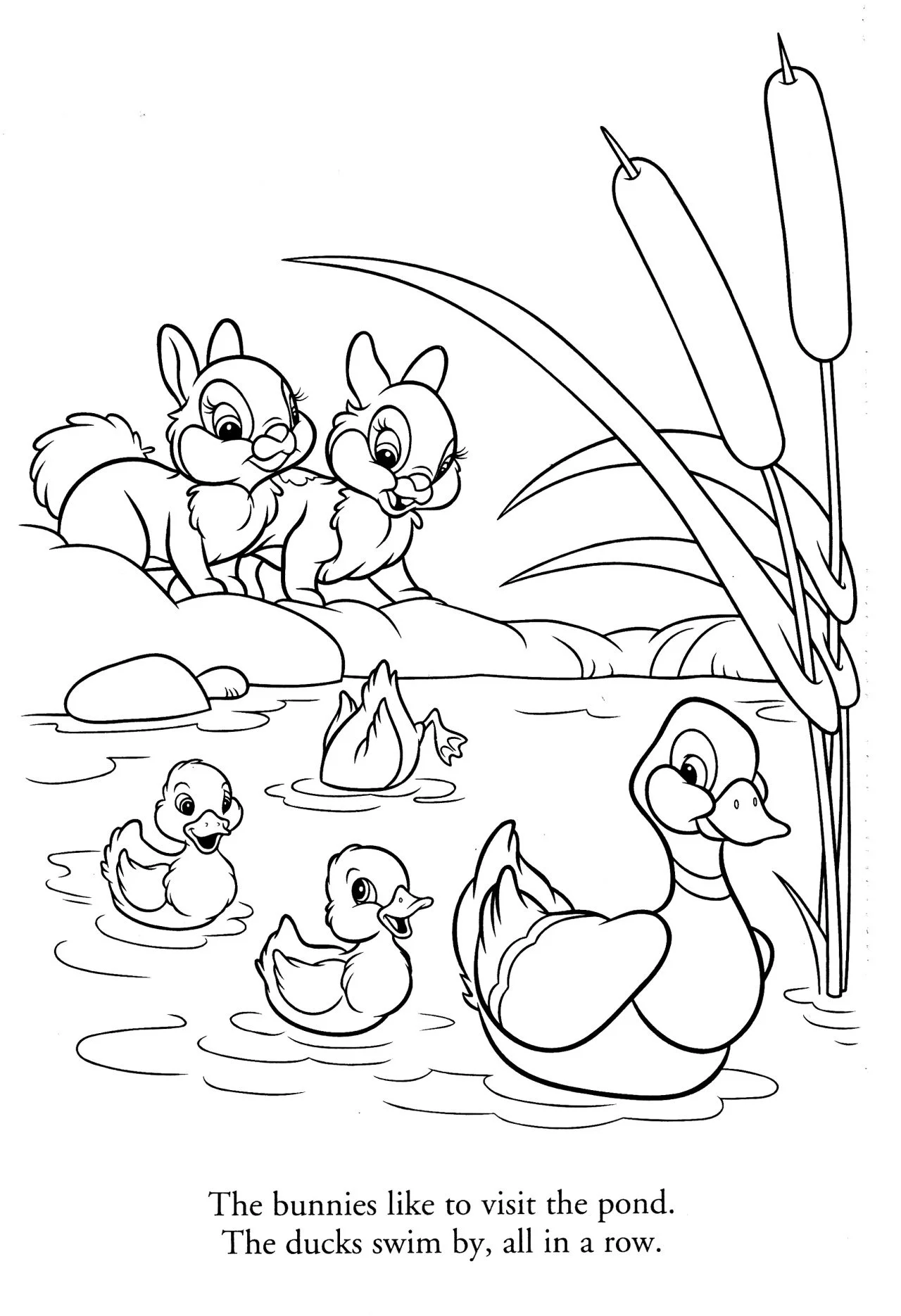 Patos Para Colorear 3