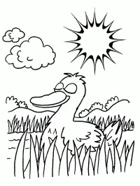Patos Para Colorear 37