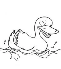 Patos Para Colorear 41