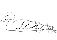 Patos Para Colorear 49