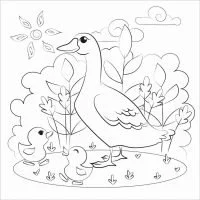 Patos Para Colorear 52