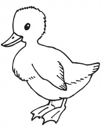 Patos Para Colorear 54