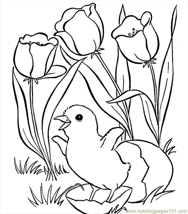 Easter Coloring Pages 244