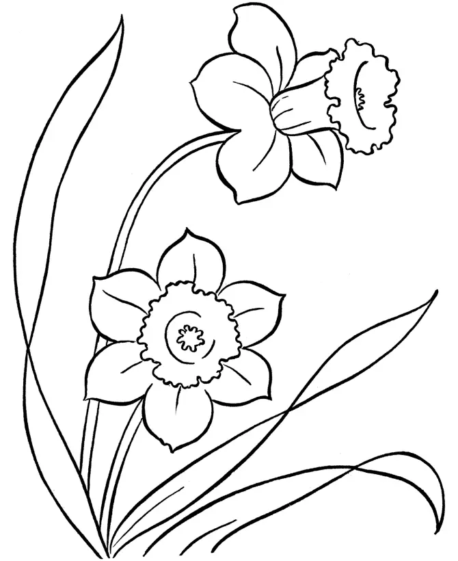 Easter Coloring Pages 295