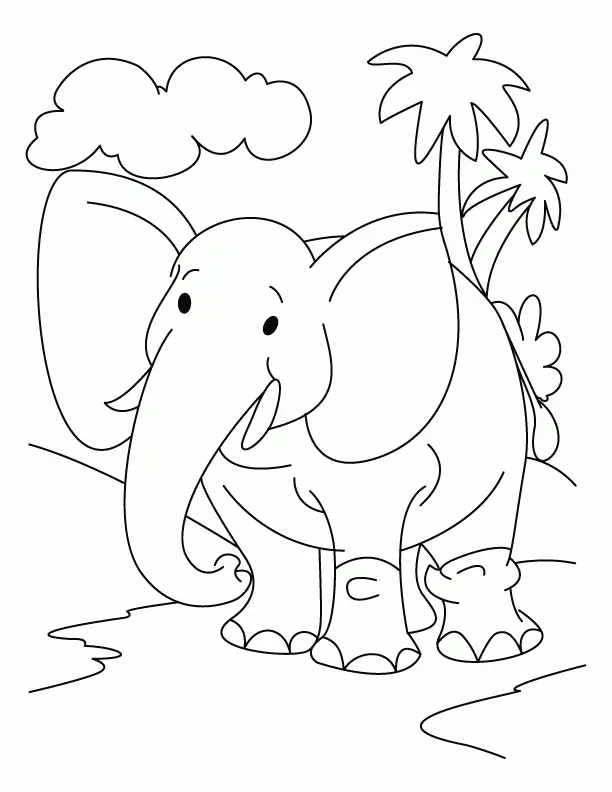 Elefant Ausmalbilder 12