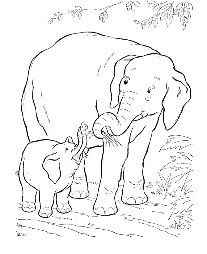 Elefant Ausmalbilder 13