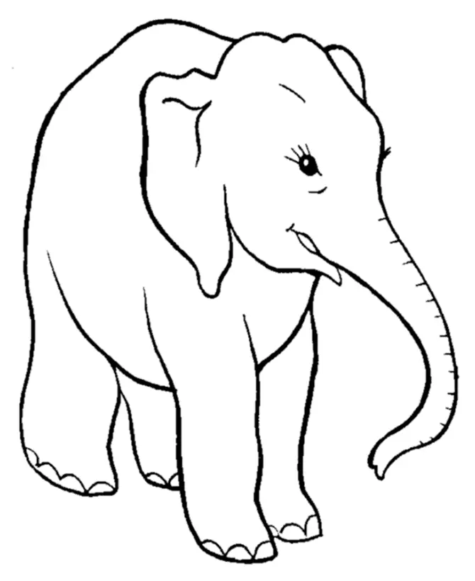 Elefant Ausmalbilder 14