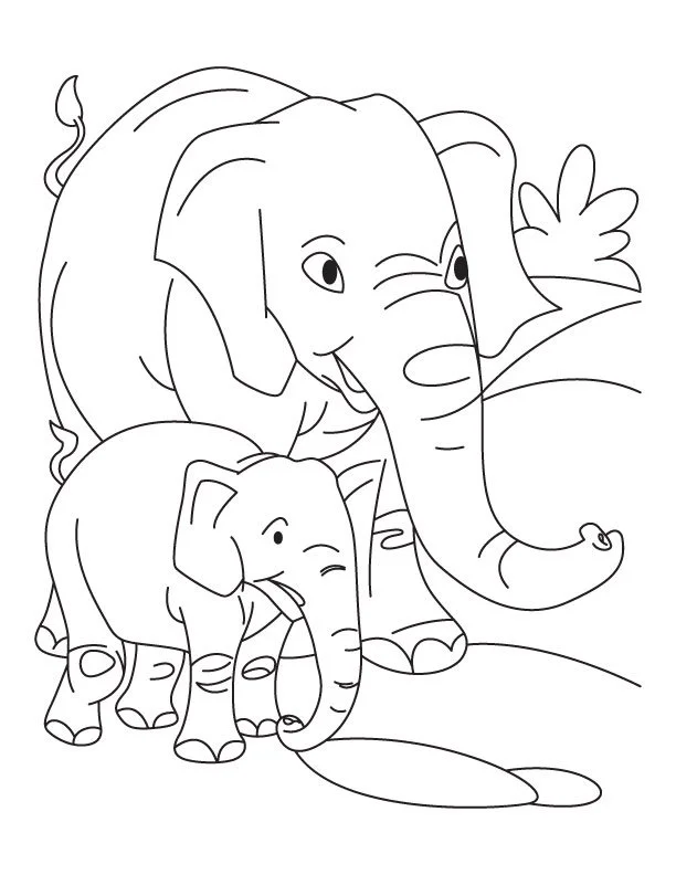 Elefant Ausmalbilder 16