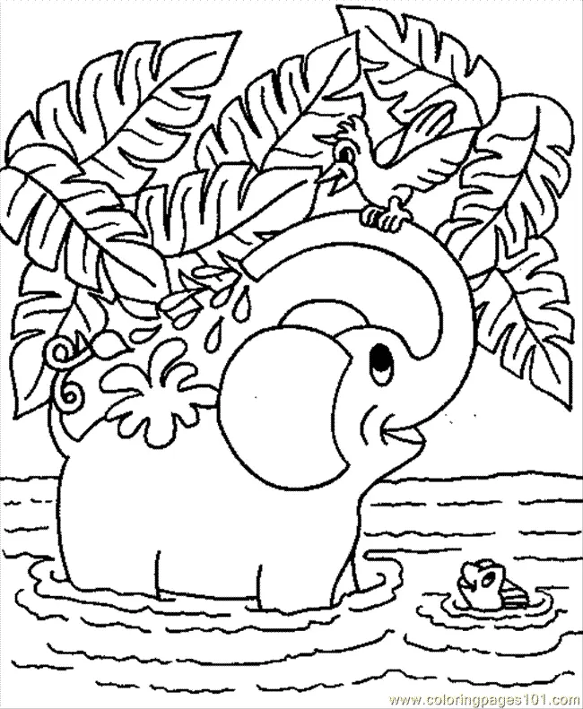 Elefant Ausmalbilder 21