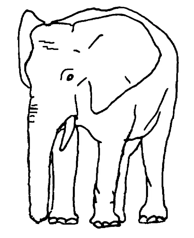 Elefant Ausmalbilder 23