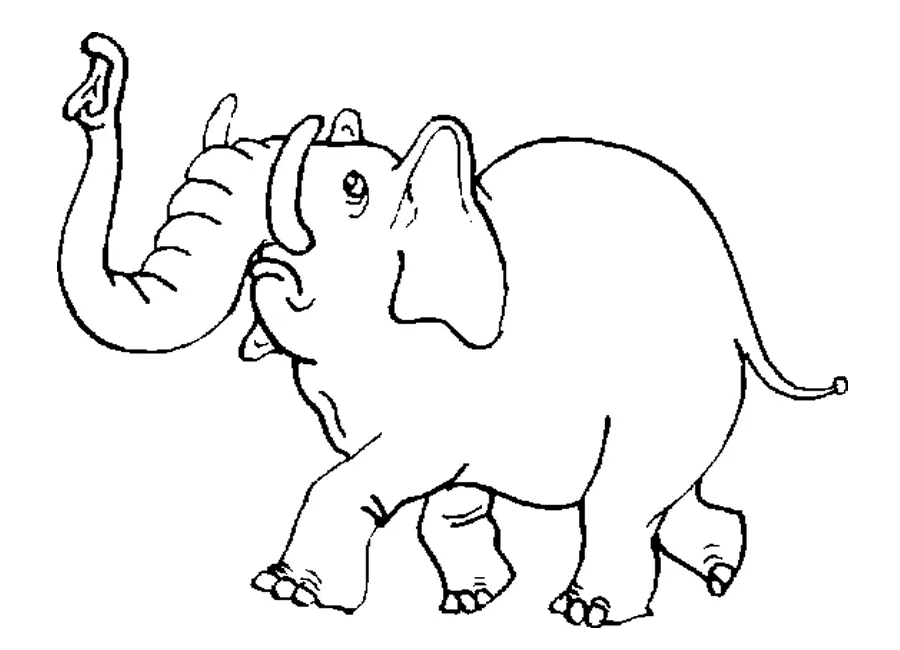 Elefant Ausmalbilder 27