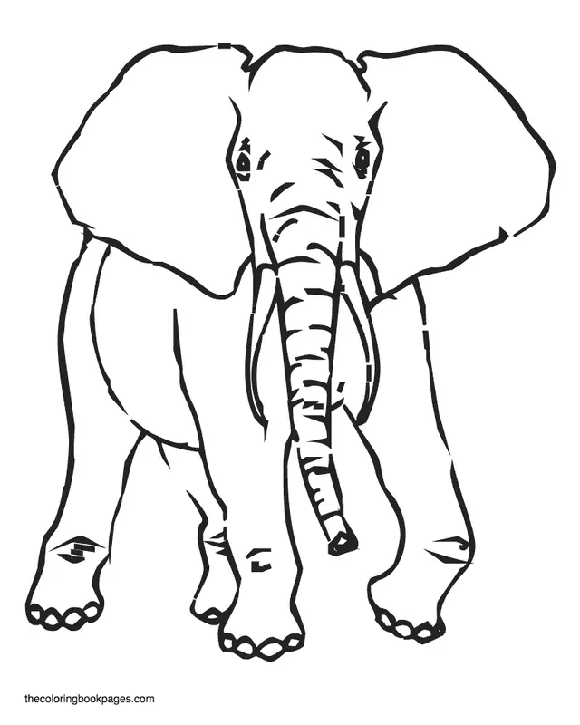 Elefant Ausmalbilder 42