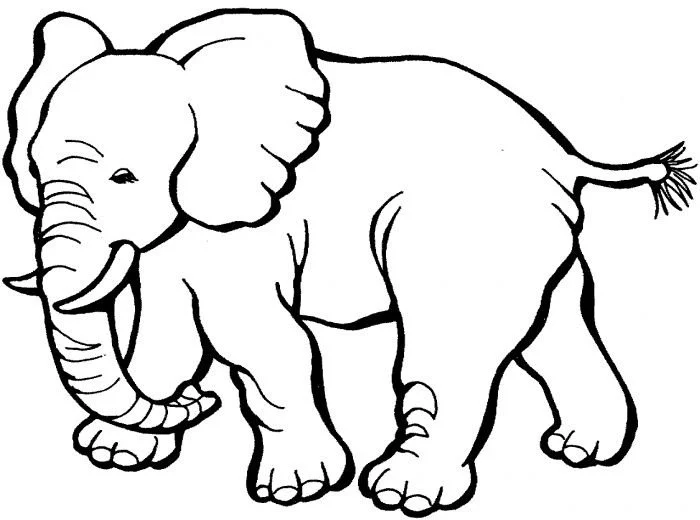 Elefant Ausmalbilder 51