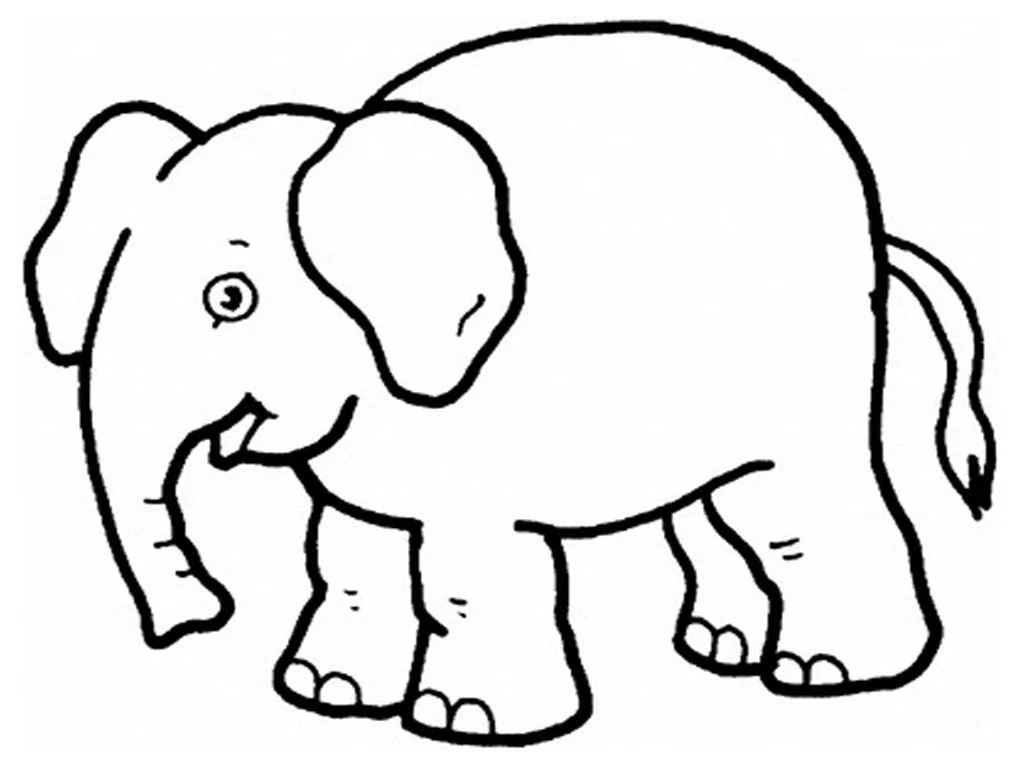 Elefant Ausmalbilder 52
