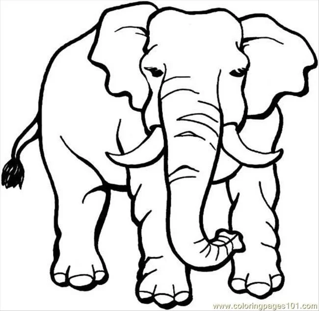 Elefant Ausmalbilder 63