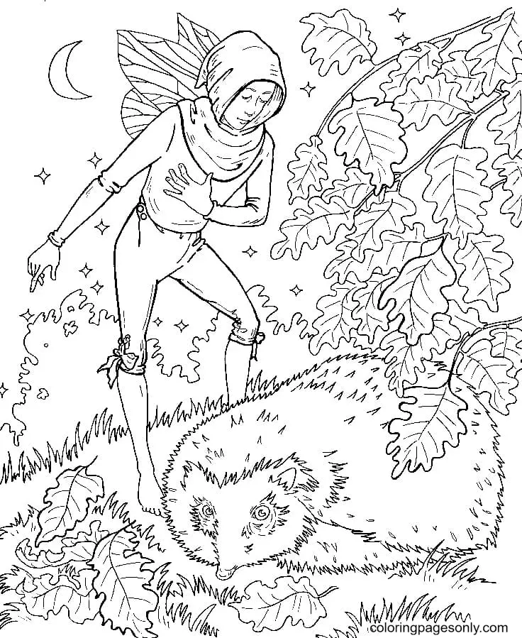Desenhos de Fadas Para Colorir 91