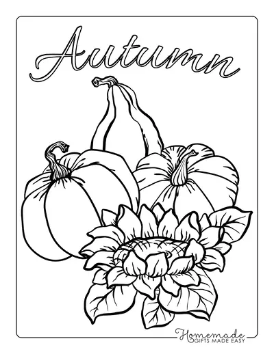 Herbst Ausmalbilder für Erwachsene 6