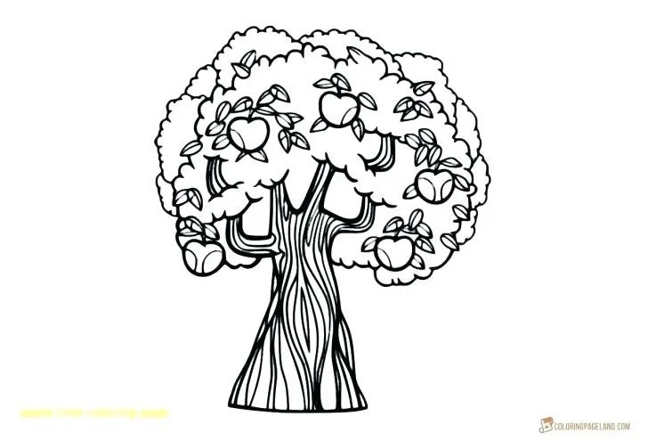 Desenhos de Arvores de Outono Para Colorir