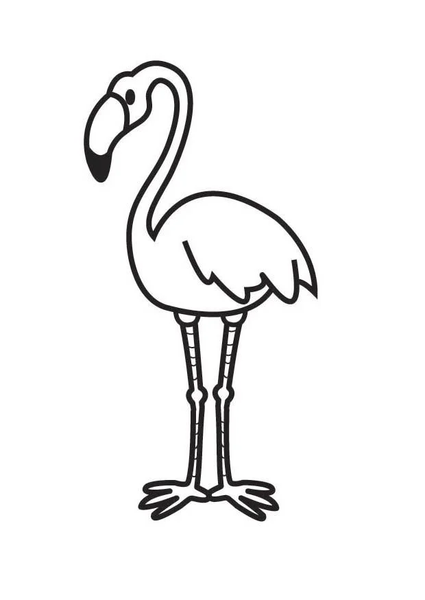 Ausmalbilder Flamingo 11