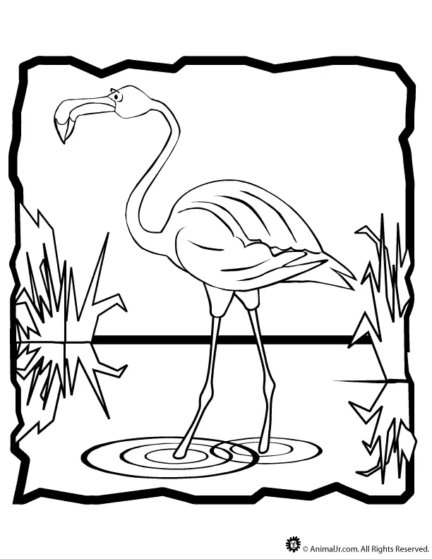 Ausmalbilder Flamingo 15