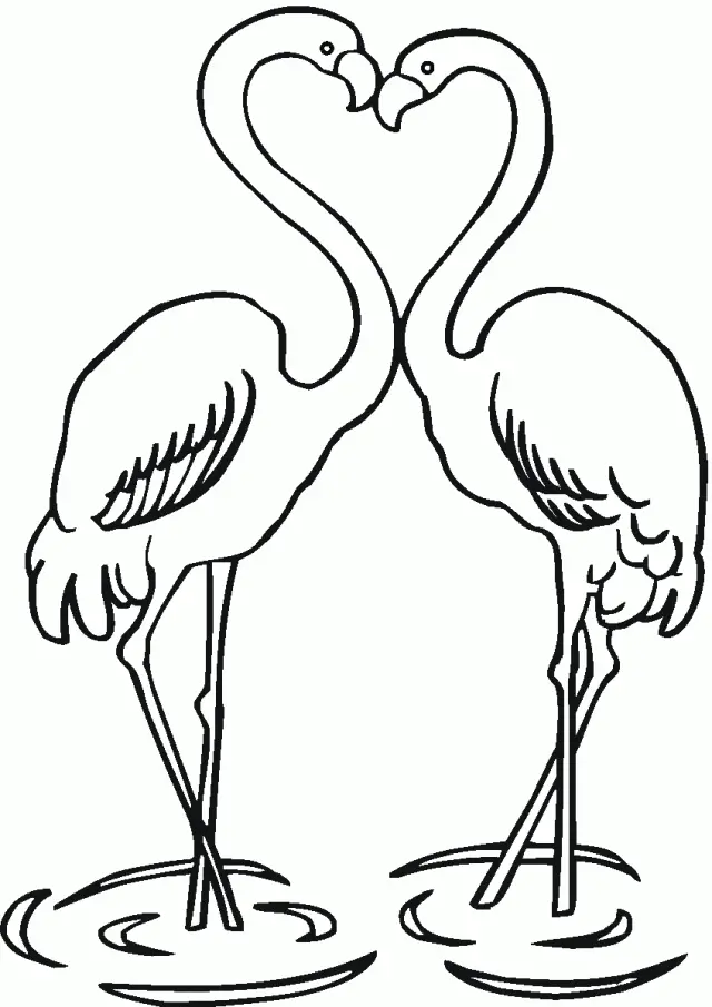 Ausmalbilder Flamingo 16