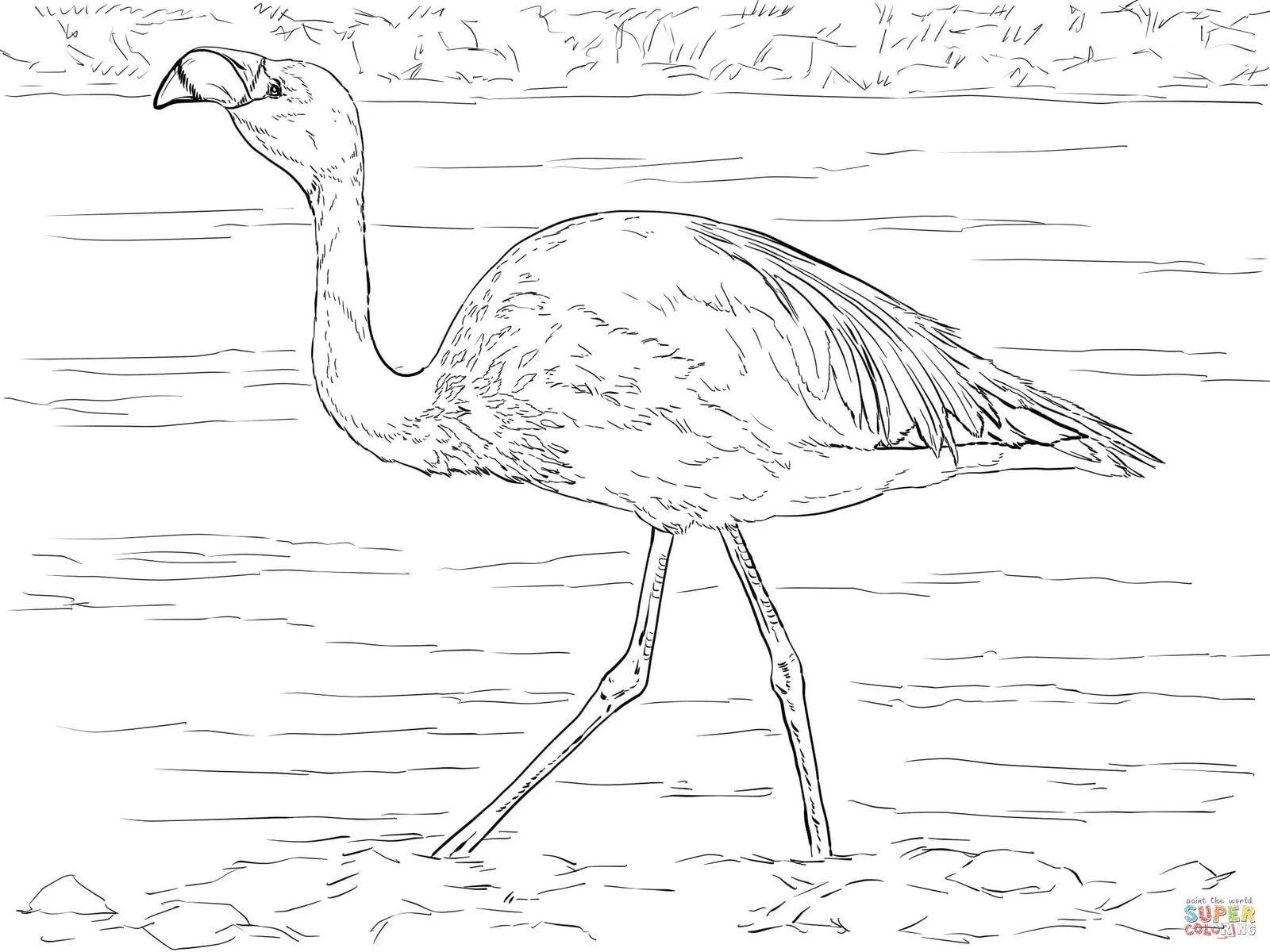 Ausmalbilder Flamingo 22