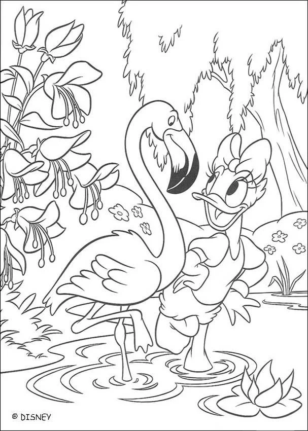 Ausmalbilder Flamingo 25