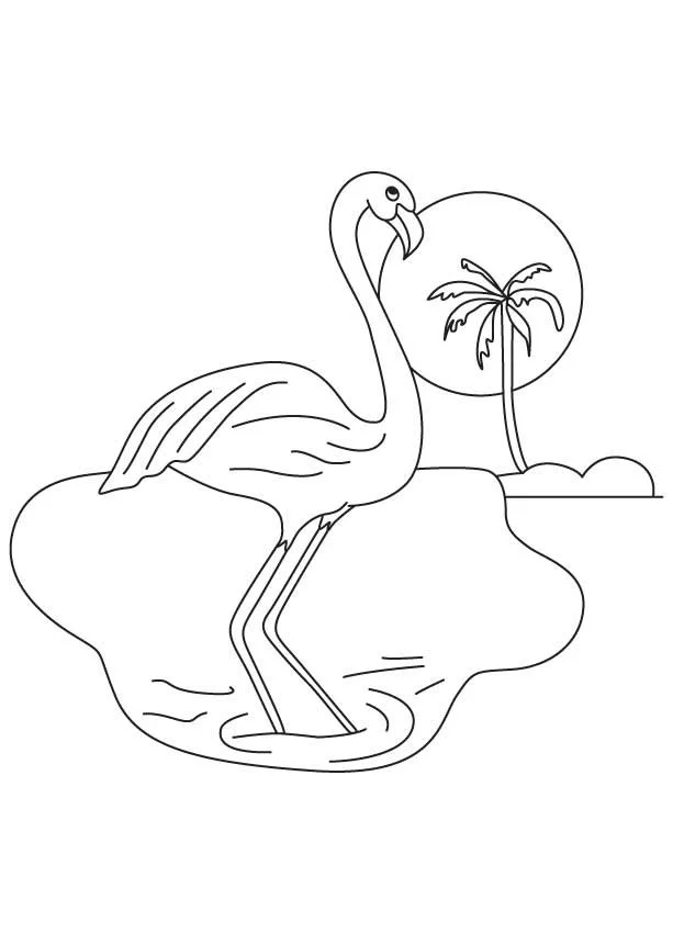 Flamingo Coloring Pages 27
