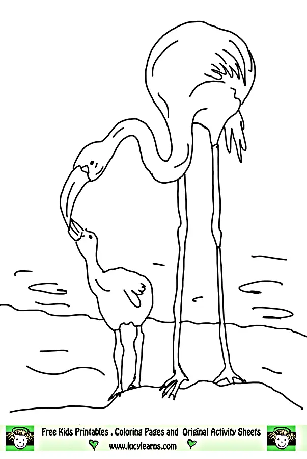 Ausmalbilder Flamingo 28