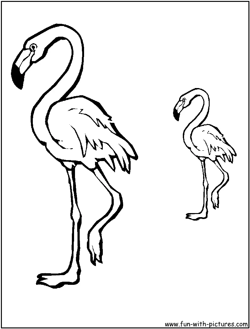 Ausmalbilder Flamingo 29