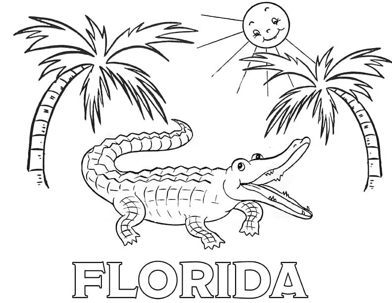 Florida Ausmalbilder 21