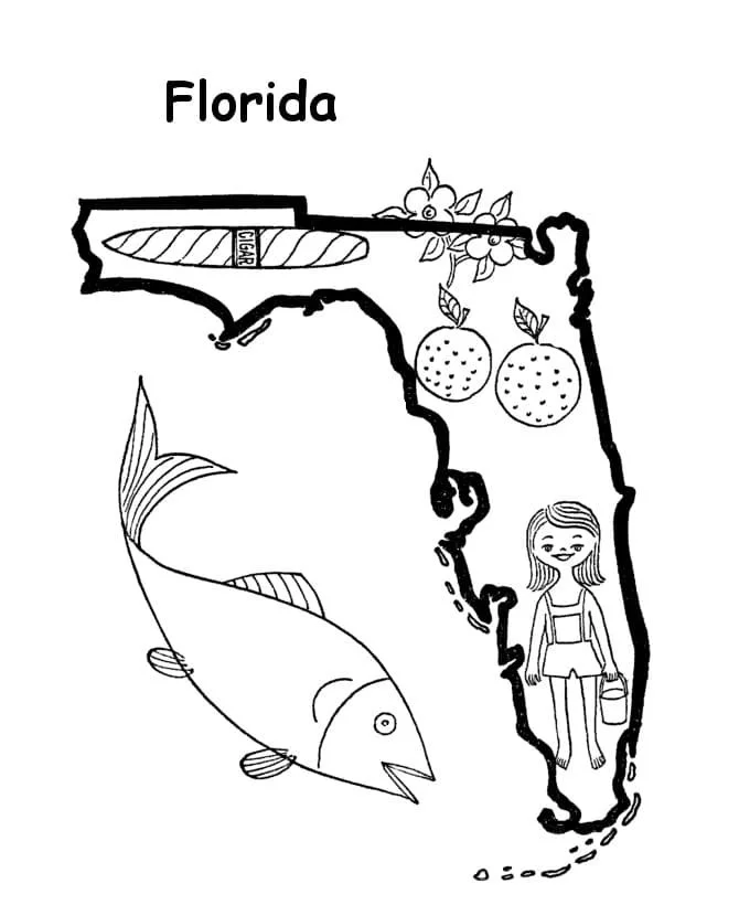 Florida Ausmalbilder 43
