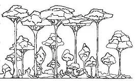 Wald Ausmalbilder 13