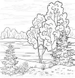 Wald Ausmalbilder 15