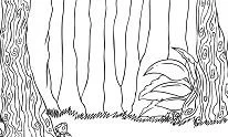 Wald Ausmalbilder 18