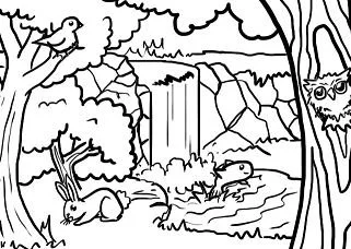 Wald Ausmalbilder 20
