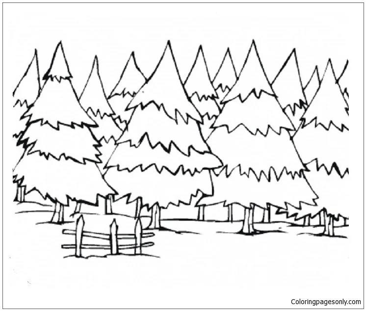 Wald Ausmalbilder 26